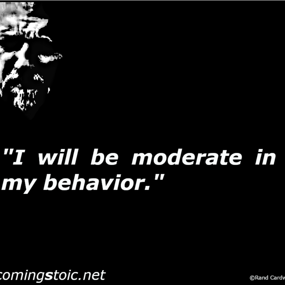 meme-moderate